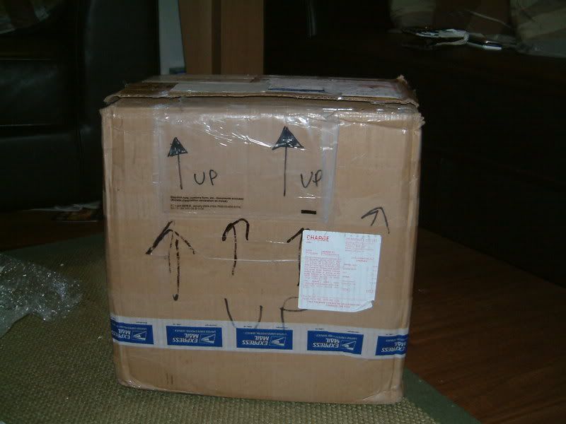 DSCF0379.jpg