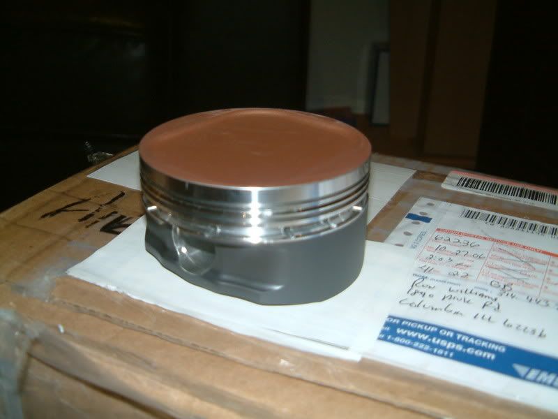 DSCF0387.jpg
