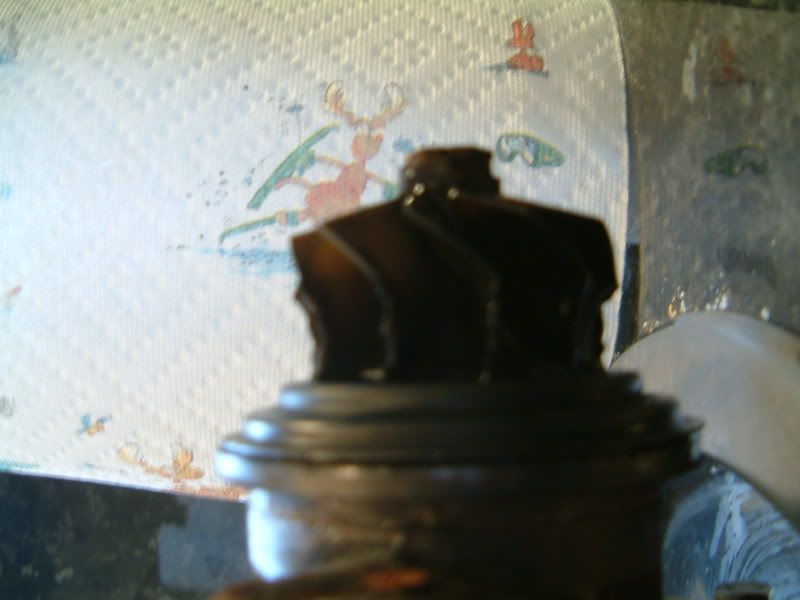 DSCF0529.jpg