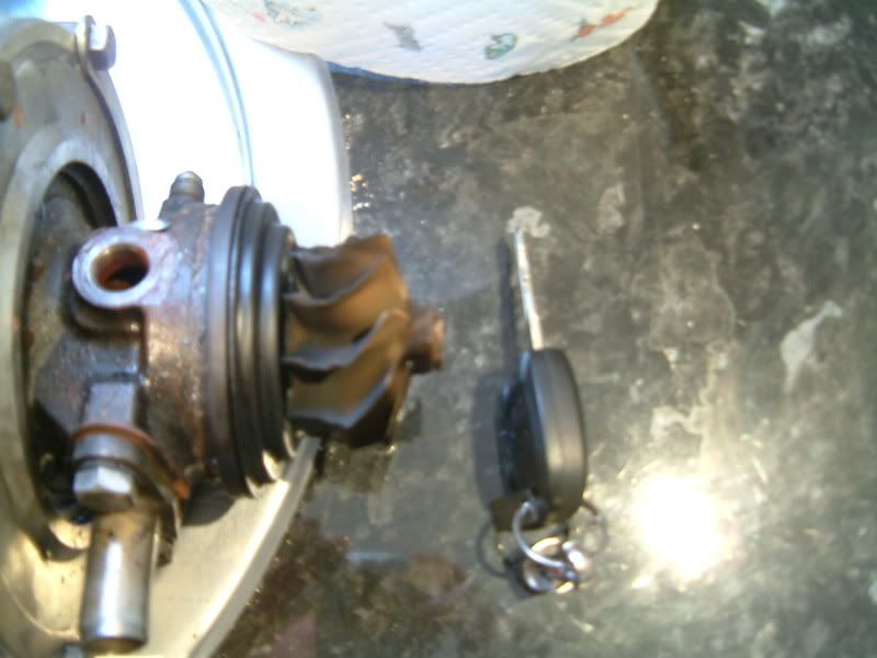 DSCF0530.jpg