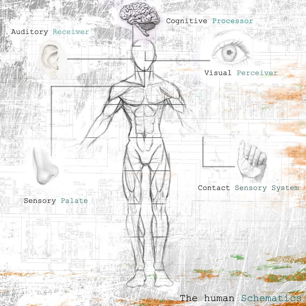 The Human Schematic