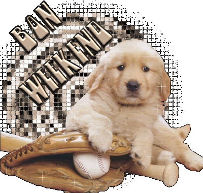 bon week-end chiot Pictures, Images and Photos