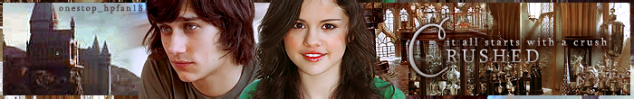 crushedbanner.png crushed picture by chatterboxxgrl
