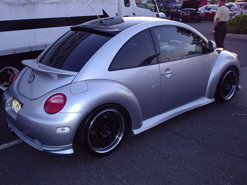 Re need to stimulate people again with pics of hot beetles euroTS 