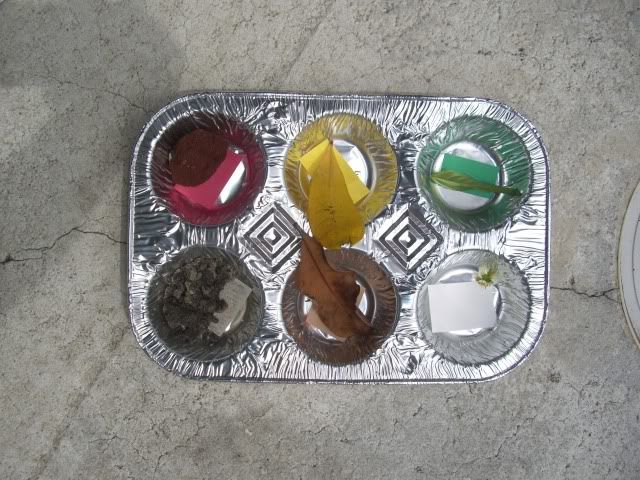 colors What they found!