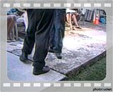 Chokeslamtoconcrete.mp4 video by ndgregory