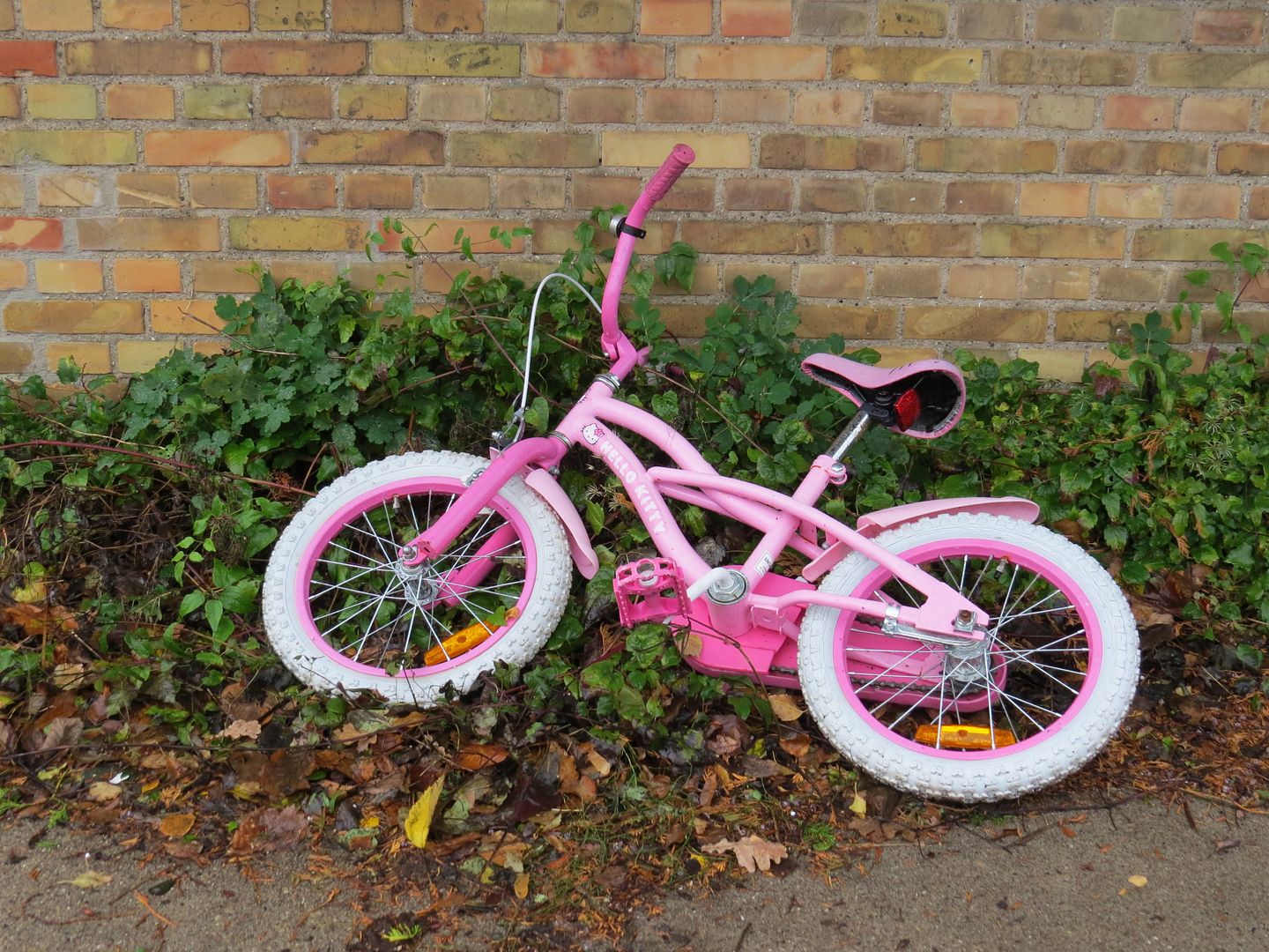 IMAGE: http://i105.photobucket.com/albums/m210/NixEre/Canon/IMG_0066_zpsb5615b2e.jpg