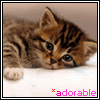 external image Adorable.gif