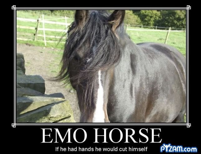 emohorse.jpg