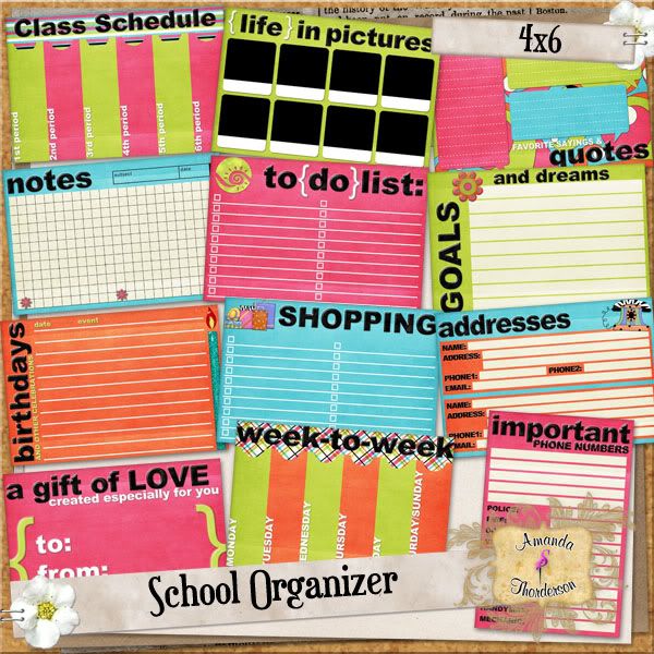 School Binder Organizer Kit - Organized.