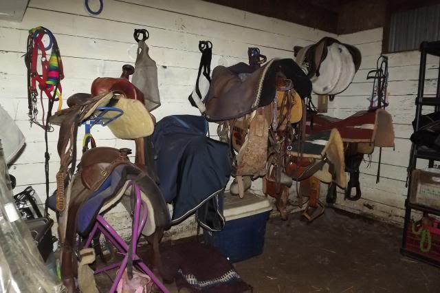Ideas On Keeping Tack Room Organised Pictures Welcome Page 2