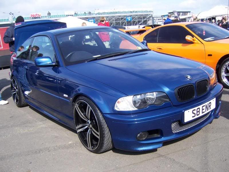 [Image: 100_3289.jpg]