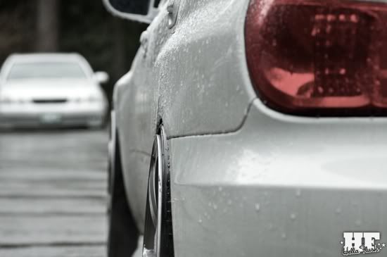 [Image: 4231760177_1f1f64fb68_o.jpg]