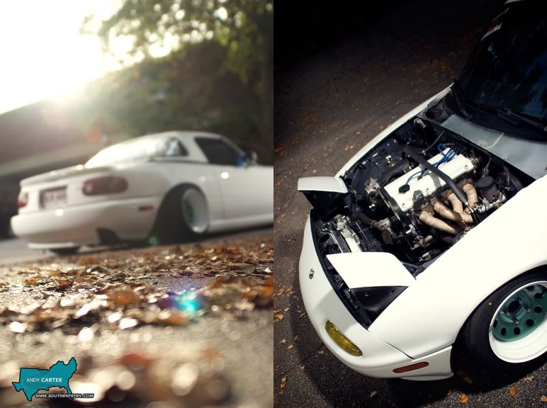 [Image: 5117284845_daba8cc9d4_b.jpg]