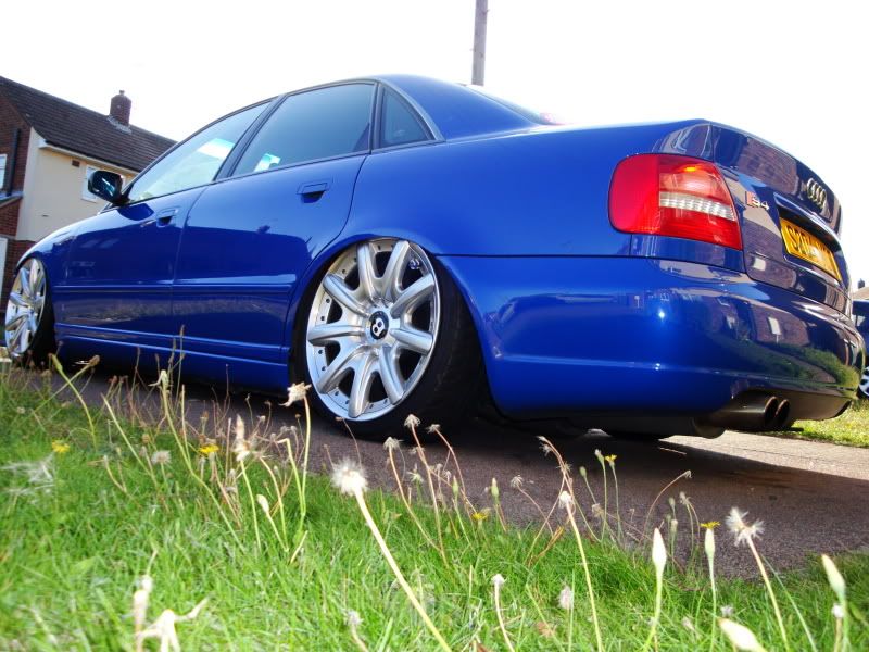 [Image: DSC00260.jpg]