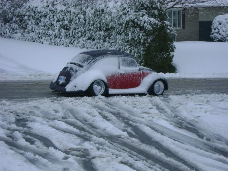 [Image: DSC00965.jpg]