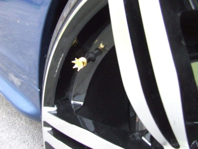 [Image: DSCF1765.jpg]