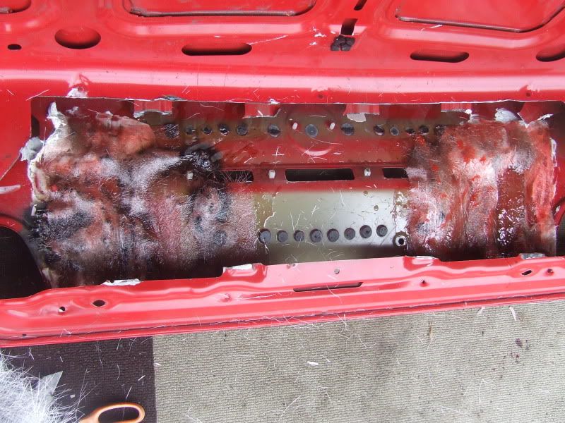 [Image: DSCF2196.jpg]