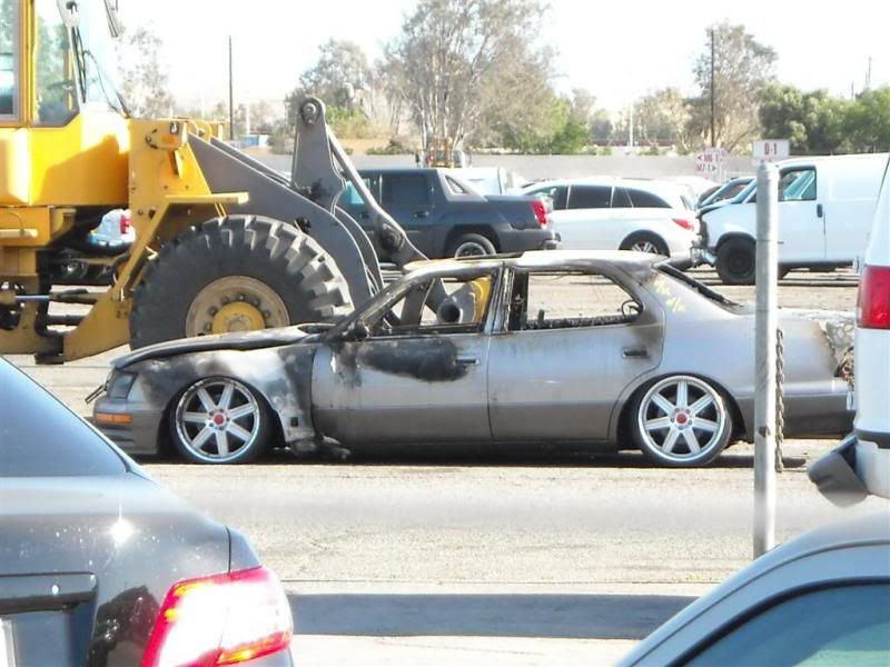 [Image: DSCN0215Large.jpg]