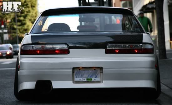 [Image: IMG_3135a.jpg]