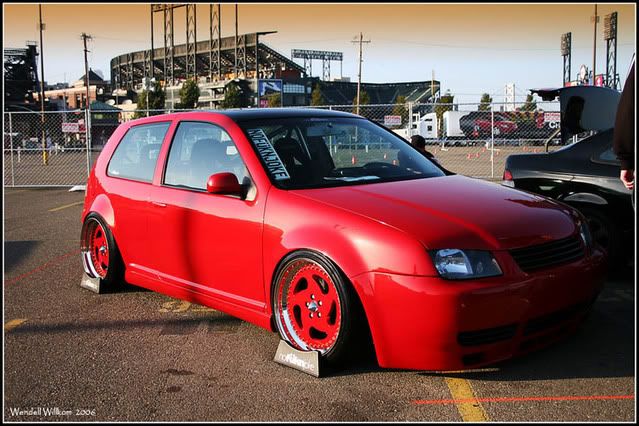 [Image: IMG_4310edit.jpg]