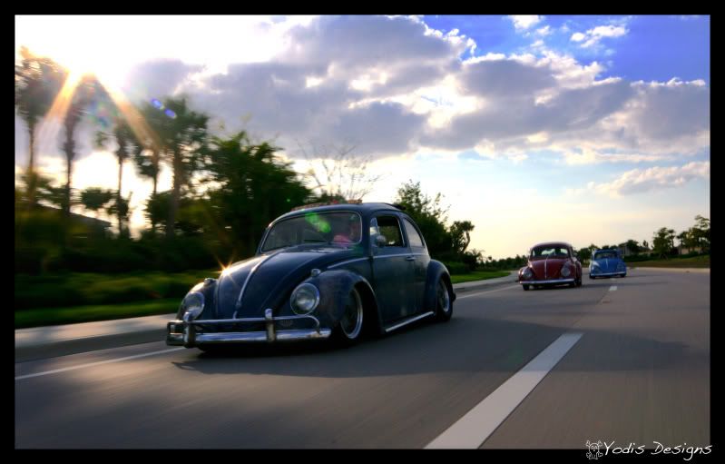 [Image: Rollingshoot10.jpg]