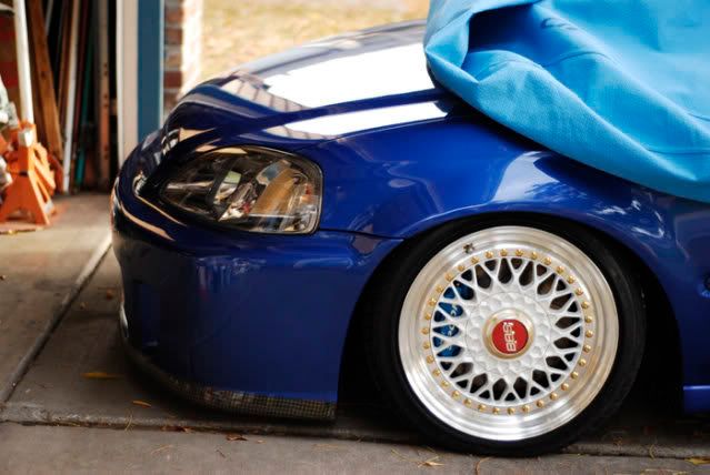 [Image: _DSC3452-2.jpg]