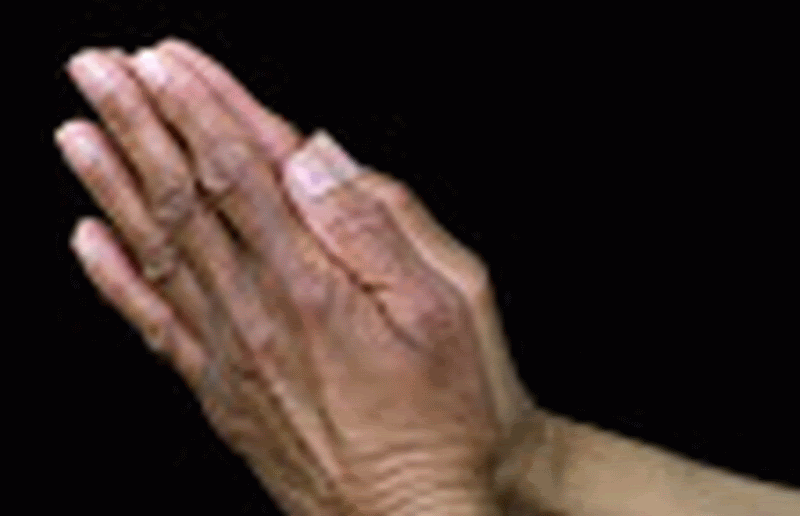 Praying Hands
