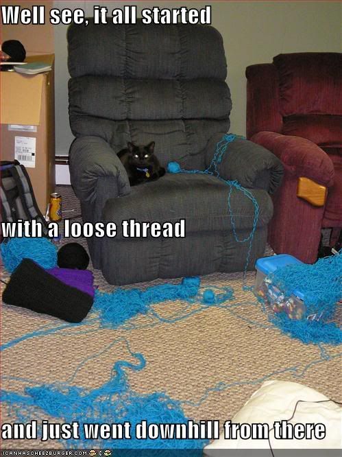 funny-pictures-cat-has-unraveled-al.jpg