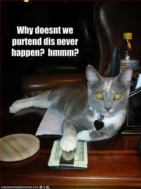 funny-pictures-cat-offers-you-money.jpg