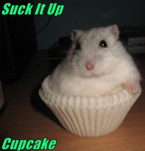 Posted Image