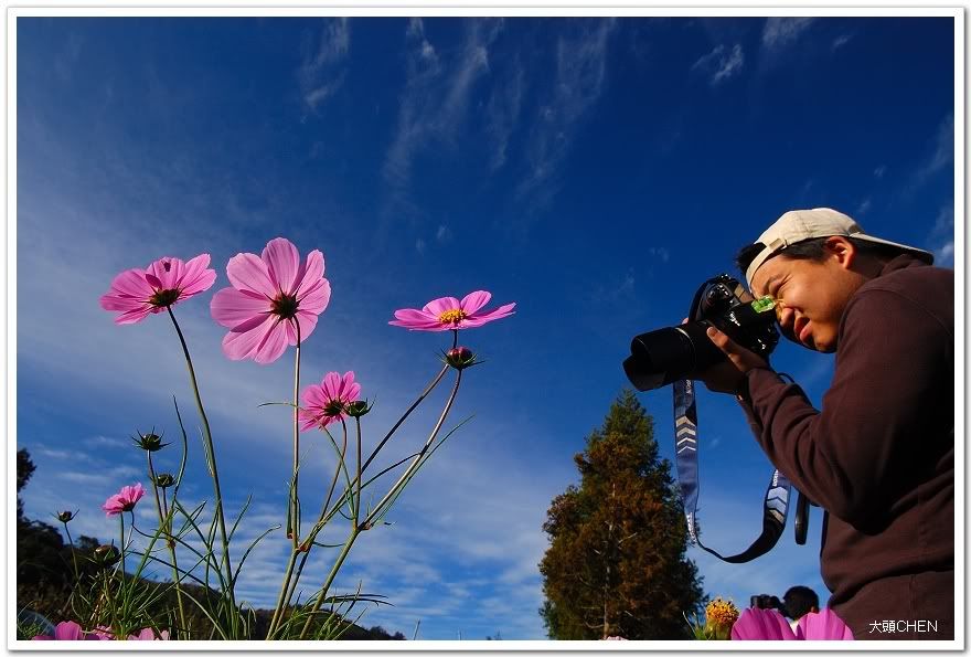 Photo Sharing and Video Hosting at Photobucket