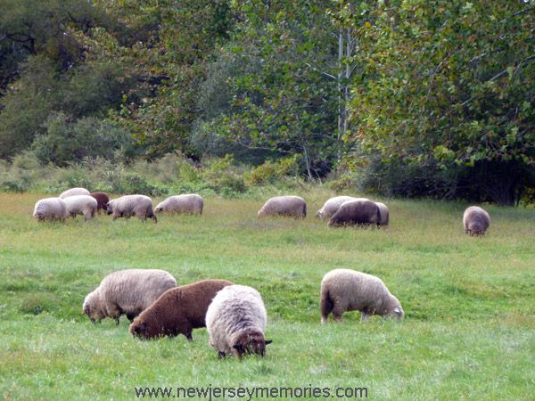 photo HowellLivingHistoryFarm12_zpse8311dff.jpg