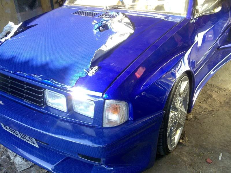 [Image: Image008-1.jpg]