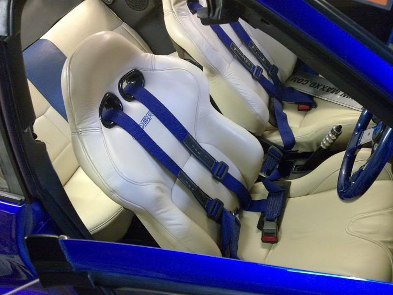 [Image: Image115.jpg]