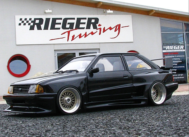 [Image: riegertintopmodel.png]