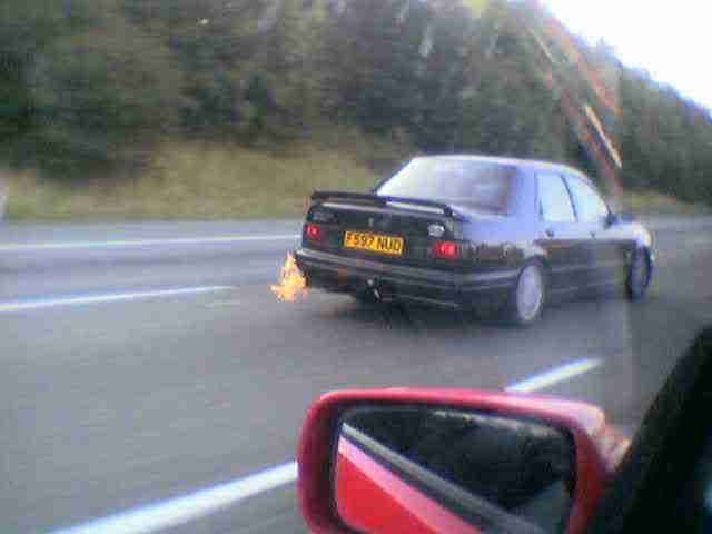 [Image: cossieflamefullsize.jpg]