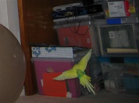 04402a10.jpg