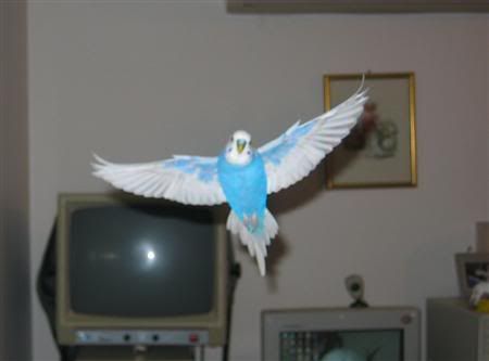 639f63fc.jpg