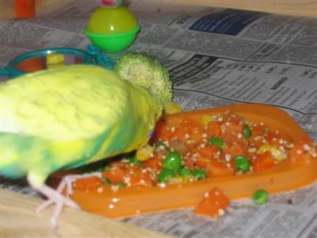 December142006-veggies003Custom.jpg