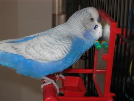 October302006-blinkiesgirlfriend008.jpg