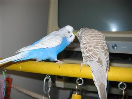 October302006-blinkiesgirlfriend010.jpg