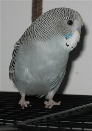 October302006-blinkiesgirlfriend019.jpg