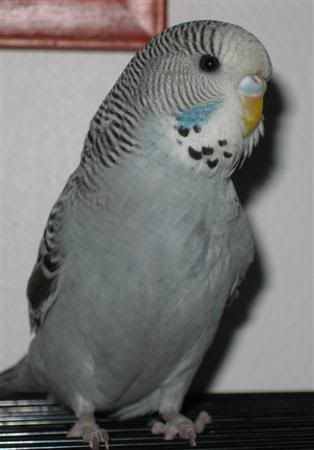 October302006-blinkiesgirlfriend021.jpg