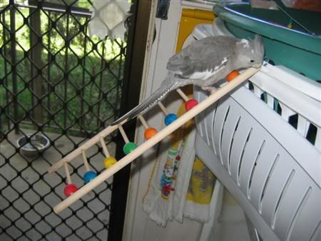 September232006-toys001.jpg