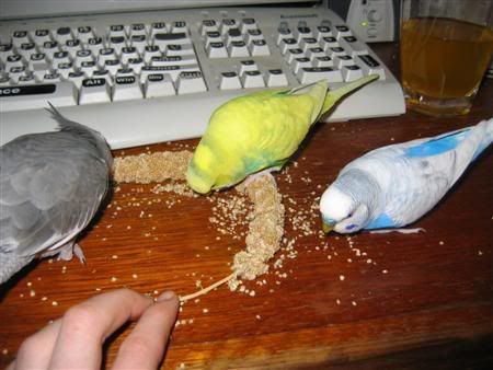 September242006-cookieblinkieand-3.jpg