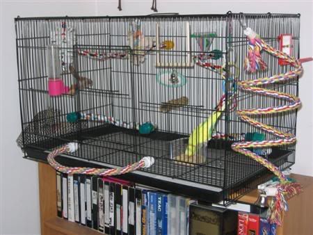 September302006-newcage001Custom.jpg