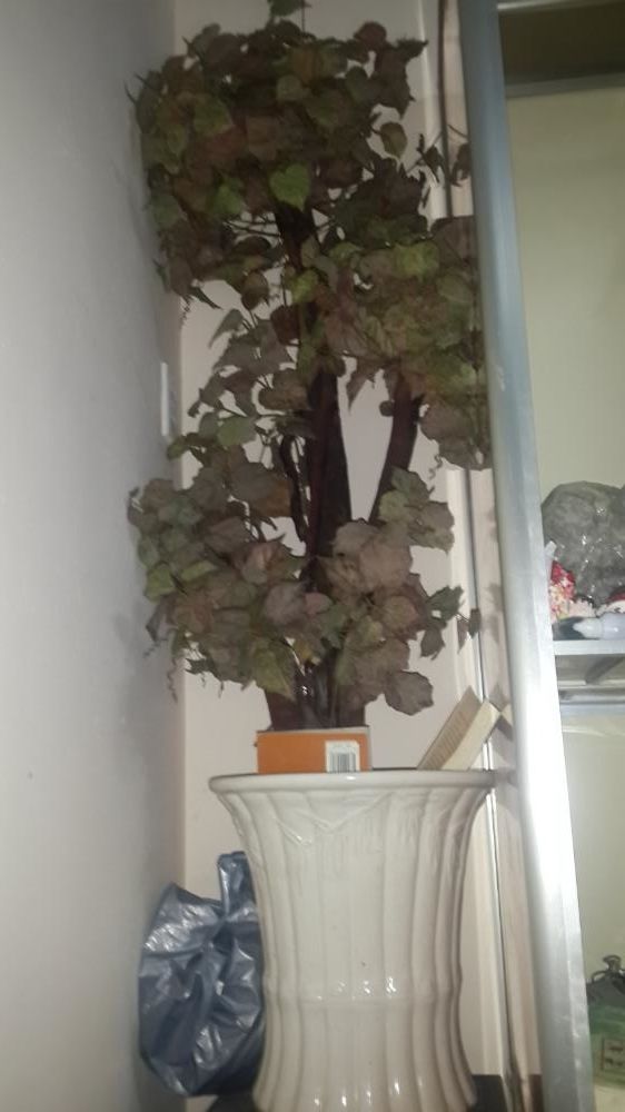 thanh lý dọn kho ,rất nhiều đò.vui vẻ là chính. - 1