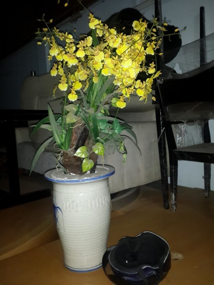 thanh lý dọn kho ,rất nhiều đò.vui vẻ là chính. - 9