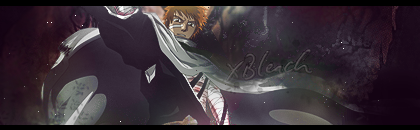 Bleach2copy.png